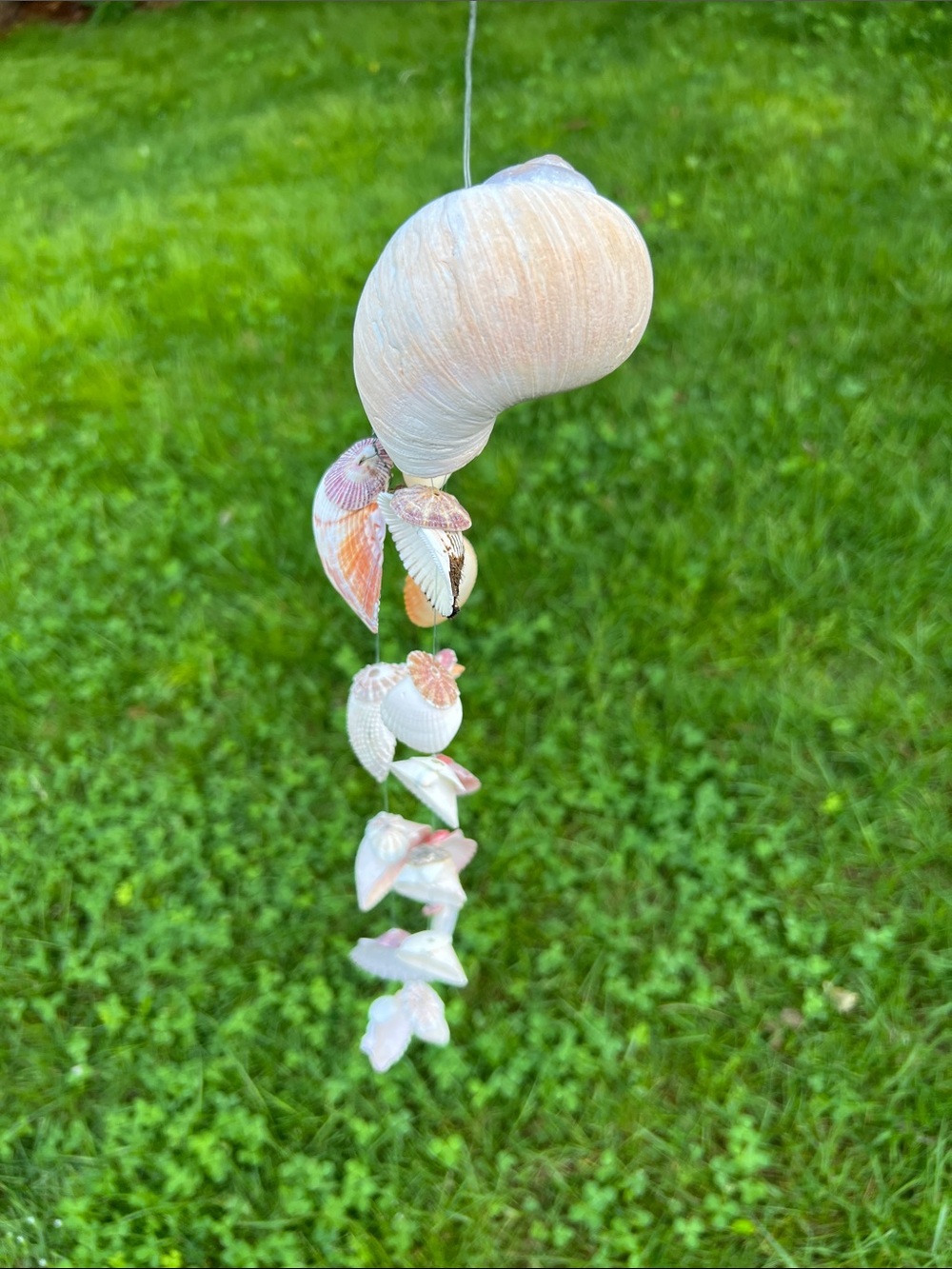 Handmade Seashell Wind Chime - Natural Shells - Picture 3 of 10